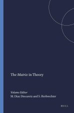 THE<EM> MATRIX</EM> IN THEORY