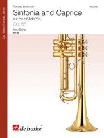 SINFONIA AND CAPRICE MUSIQUE D'ENSEMBLE -PARTITION+PARTIES SEPAREES