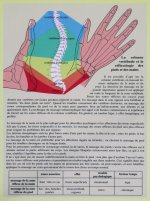Planche Zones réflexes de la main et du pied - A4