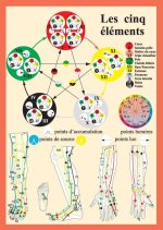 Planche des Cinq éléments en acupuncture