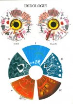 Iridologie