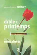 DROLE DE PRINTEMPS : SUIVI DE MINIATURES