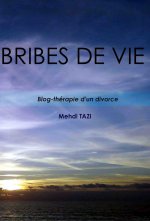 BRIBES DE VIE