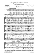 SPEYERER DOMFESTMESSE OP. 80 ORCHESTRE