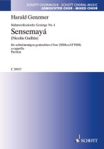 SUDAMERIKANISCHE GESANGE GEWV 21