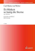 ES BLINKEN SO LUSTIG DIE STERNE