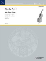 ANDANTINO KV374G VIOLONCELLE
