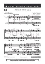 PFERDE ZU VIEREN TRABEN CHANT