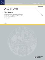 SINFONIA ORCHESTRE