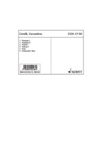 CONCERTINO BB MAJOR -ENSEMBLE DE PARTITIONS