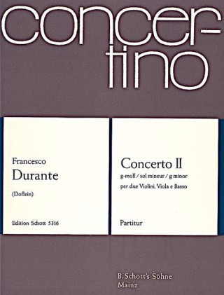 CONCERTO II G MINOR