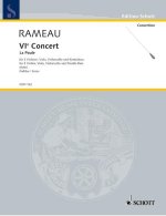 VI. CONCERT