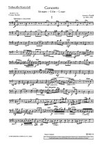 CONCERTO G MAJOR RV 298/PV 100