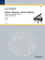KLEINE BLUMEN KLEINE BLATTER PIANO