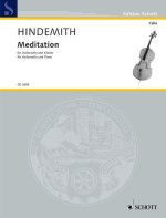 MEDITAZIONE VIOLON