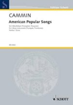 AMERICAN POPULAR SONGS