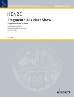 FRAGMENTS FUR EINER SHOW BLAAS