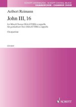 JOHN III, 16