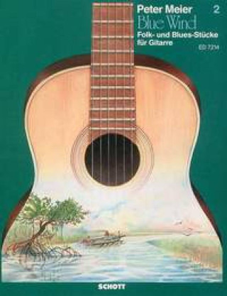 BLUE WIND 2 GIT. GUITARE