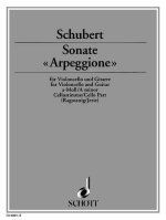 SONATA ARPEGGIONE D 821
