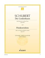 LINDENBAUM & HEIDENROSLEIN OPUS 89