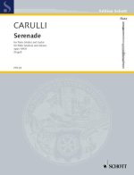 SERENATA N. 6 OP.109 FL(VN) E CHIT (NAGEL)