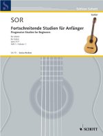FORTSCHREITENDE STUDIEN FUR GUITARE