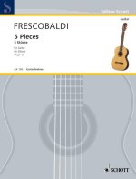 5 PIECES GUITARE