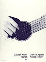 ALLEGRO BRILLANTE GUITARE