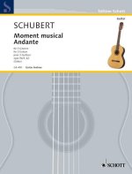 MOMENT MUSICAL UND ANDANTE