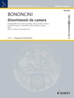 DIVERTIMENTI DA CAMERA 2