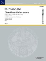 DIVERTIMENTI DA CAMERA 4