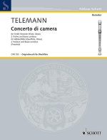 CONCERTO DI CAMERA
