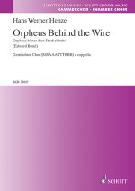 BEHIND THE WIRE