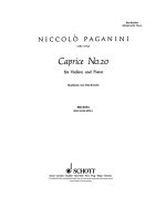 CAPRICCIO N. 20 SI M. (KREISLER) VIOLON
