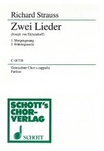 ZWEI LIEDER O. OP. AV. 25
