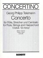 CONCERTO B MINOR