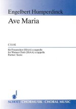 AVE MARIA G MAJOR EHWV 116