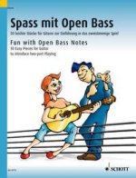 FUN WITH OPEN BASS NOTES GUITARE