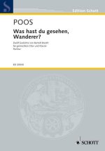 WAS HAST DU GESEHEN, WANDERER?