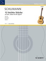 STUCKE(12) GIT. GUITARE