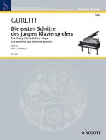 THE YOUNG PIANIST'S FIRST STEPS OP. 82 VOL. 2 PIANO