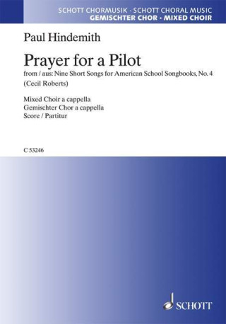 PRAYER FOR A PILOT