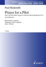 PRAYER FOR A PILOT