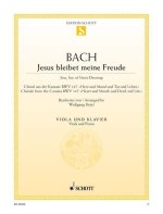 JESUS BLEIBET MEINE FREUDE BWV 147 ALTO