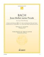 JESUS BLEIBET MEINE FREUDE BWV 147 VIOLONCELLE