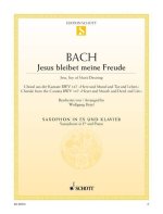JESUS BLEIBET MEINE FREUDE BWV 147 SAXOPHONE