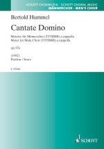 CANTATE DOMINO OP. 97C