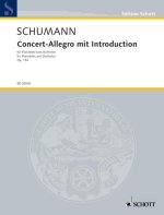 CONCERT-ALLEGRO MIT INTRODUCTION D MINOR OP. 134