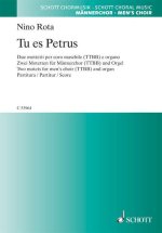 TU ES PETRUS